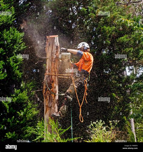 Geelong botanic gardens hi-res stock photography and images - Alamy