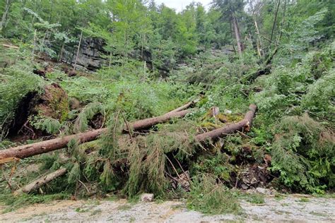 Opozorilo Za Pohodnike In Sprehajalce Vremenska Ujma Je Razdejala Tudi