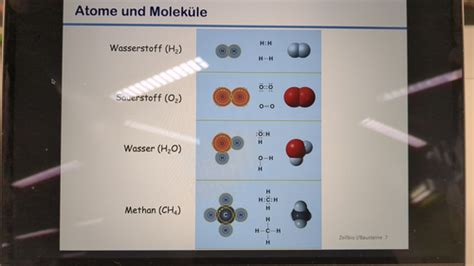 Zellbio I Kapitel 1 Bausteine Der Zelle Karteikarten Quizlet