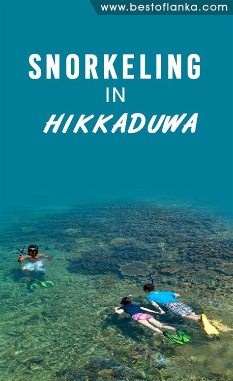 Snorkeling In Hikkaduwa Hikkaduwa Snorkeling Sri Lanka