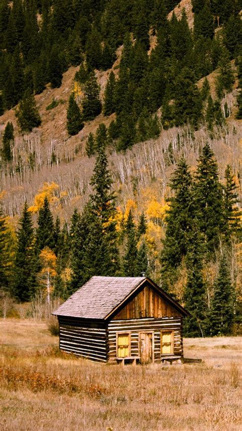 Forest Cabin Wallpapers - Top Free Forest Cabin Backgrounds ...