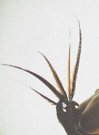 Simonsaysarah Leaked Nude OnlyFans ShemaleLeaks