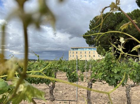 Enoturismo De Lujo En Bodegas Arzuaga Belleza Natural Bienestar Y