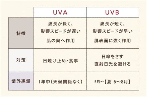 UVAUVB 日焼けの違いは 意外と知らない紫外線のおはなし https hadamanma