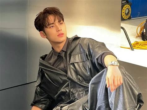 Profil Dan Biodata Mingyu Seventeen Yang Berulang Tahun Hari Ini 6