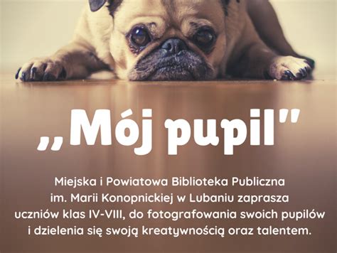 Mój pupil konkurs fotograficzny