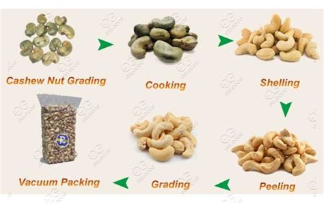 Cashew Nut Shelling Peeling Processing Line With Kg H