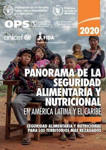 Buy Panorama De La Seguridad Alimentaria Y Nutricional En América