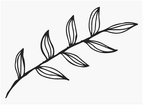 Transparent Pot Leaf Outline Png - Leaves Outline, Png Download , Transparent Png Image - PNGitem