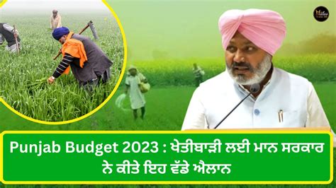 Punjab Budget 2023 Live Updates Agriculture Sector Punjab News