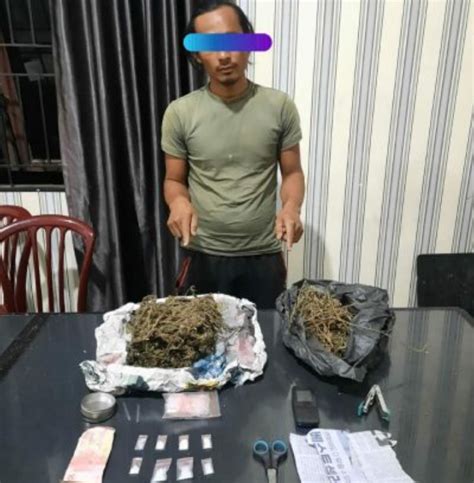 Pengedar Narkoba Jenis Ganja Dan Sabu Ditangkap Sat Narkoba Polres