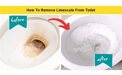 How To Get Rid Of Limescale In The Bottom Of The Toilet At Manuel Andy Blog