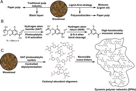 Photocatalytic Depolymerization Of Native Lignin Toward Chemically