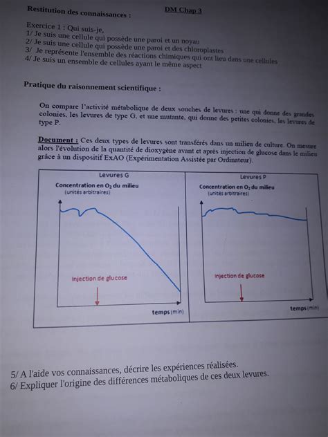 Bonjour Est Ce Quelqu Un Peut M Aider Svp Merci D Avance