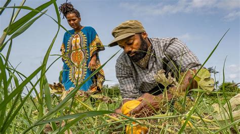 Black Farmers Embrace African Practices As Empowering The Southern Maryland Chronicle