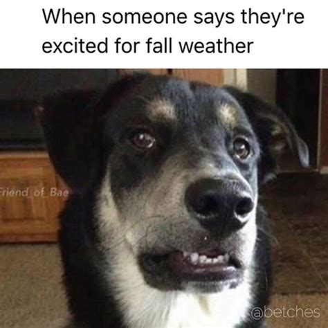 30+ Hilarious End Of Summer Memes For People Who Are Ready To Be Done