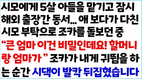 반전사이다사연 시모에게 5살 아들을 맡기고 잠시 해외출장간 동서 애 보다가 다친 시모 부탁으로 조카를 돌보던 중 큰