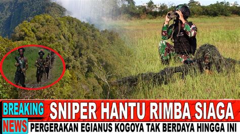 Sniper Hantu Rimba Siaga Pergerakan Geng Egianus Kogoya Tak Berdaya