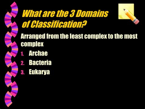 PPT - Characteristics of Life Classification of Living Things ... 