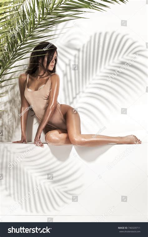 Sensual Beautiful Brunette Woman Posing Nude Stock Photo 740329711 Shutterstock