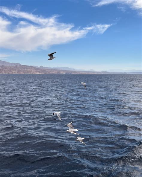 Nikki Mars (@nikki9mars) • Instagram photos and videos