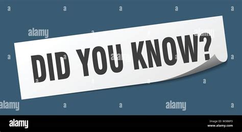 Did You Know Sticker Did You Know Square Isolated Sign Did You Know