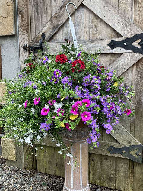 25 Gorgeous Hanging Basket Ideas To Dress Up Your Yard 46 Off