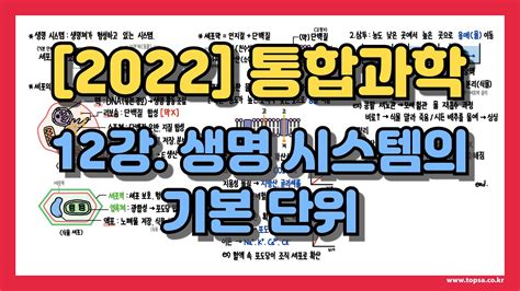 고1 통합과학 12강 세포 구조 확산 삼투 Youtube