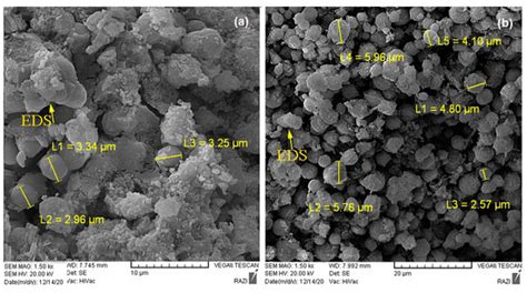 Minerals Free Full Text Characterizing Microbial And Co2 Induced