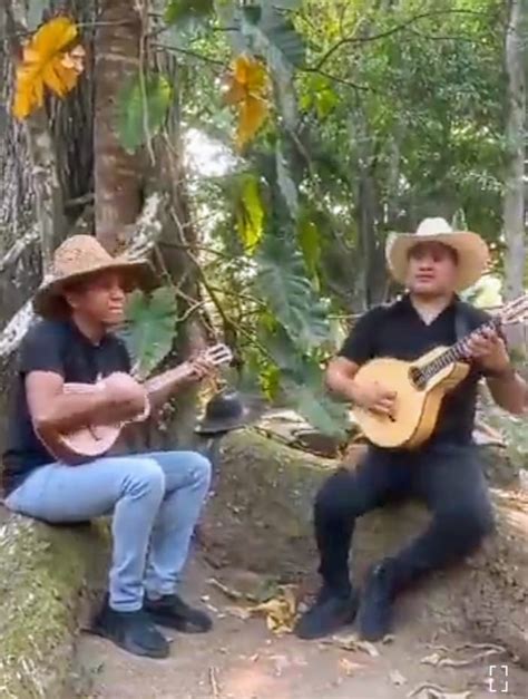 Bandola Llanera Durante Semana Santa En Achaguas Apure M Sica Venezolana