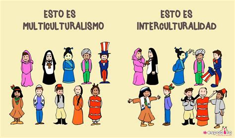 Caracteristicas De Los Patrones Culturales Enfoya