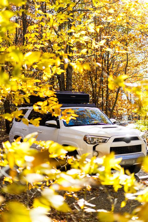 The One Thing Missing From Rexella Van Impe’s Funeral That Has Everyone Talking 6