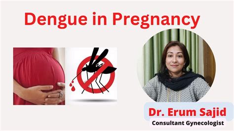 Dengue In Pregnancy Dr Erum Hassan Clinic Best Gynecologist In Patna