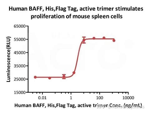 突破自身免疫性疾病的新希望探索BAFF与受体相互作用的潜力 知乎
