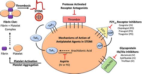 Antiplatelet Agents In Acute St Elevation Myocardial Infarction The