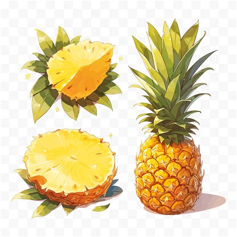 Premium Vector Set Of Pineapple With Slices