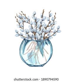 Watercolor Bunch Pussy Willow Twigs Glass Stock Illustration 1890794590 Shutterstock