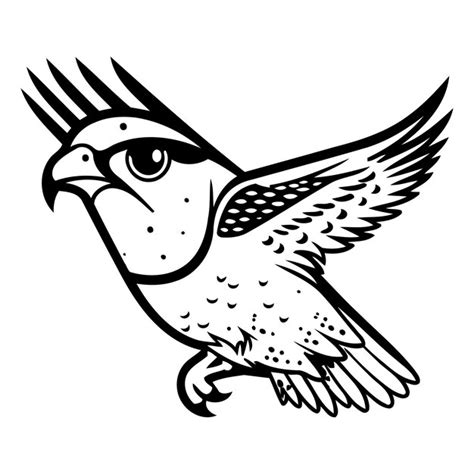 Roter und weißer kestrel auf weißem hintergrund vektor illustration