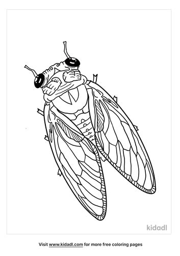 Cicada Coloring Coloring Pages