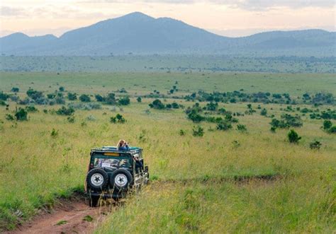 Discover the History of African Safari Before Your Next Adventure