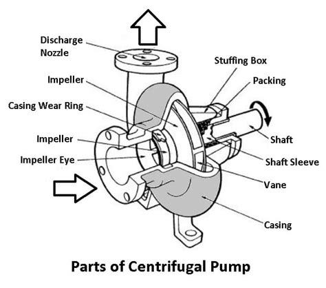 Centrifugal Pump Diagram Parts Working Advantages Pdf