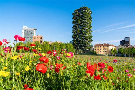 Medioambiente Jardín y Urbanismo S L La clave para transformar