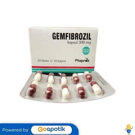 Jual Gemfibrozil Phapros 300 Mg Box 100 Kapsul Shopee Indonesia