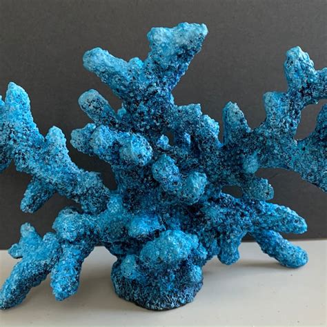 Coral Reef Sculpture - Etsy