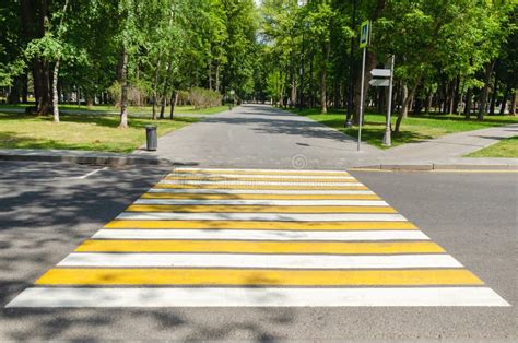 Empty Pedestrian Crossing Across Road Yellow White Stripes Crossing