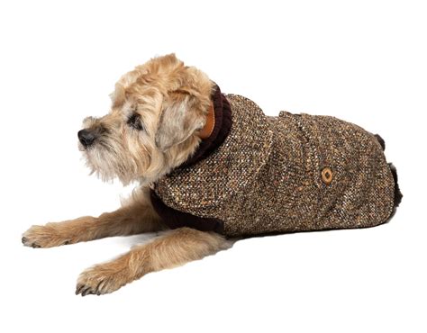 Dog Coats: Luxury, Trendy Boutique | Canine Styles - New York, NY