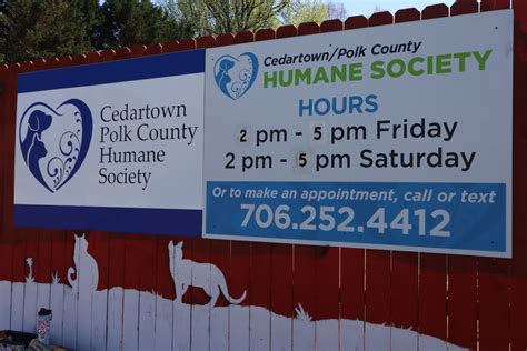 Humane Society Pets of the Week - March 24, 2024 - Polk Today