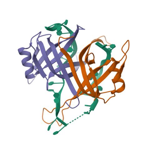 RCSB PDB 1EYG Crystal Structure Of Chymotryptic Fragment Of E Coli