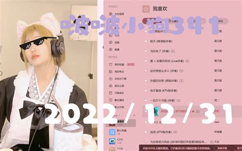 直播录像【啵啵小狗341】12月31日 羊没兔骑！ 哔哩哔哩