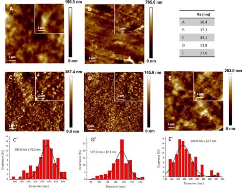 Afm Topography Analysis And Size Distribution Of Lignin Nanoparticles